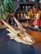 🐉 Декоративный &laquo;Череп Дракона&raquo; 3D_105 фото 4