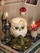 🦉 Свічка-сова &laquo;Хранителька таємних знань&raquo; 111377070 фото 2