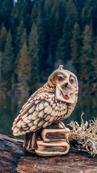 🦉 Свічка «Гедвіґа» 11376491 фото