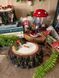 🍄 Свічка &laquo;Казка старого лісу&raquo; 111377072 фото 9