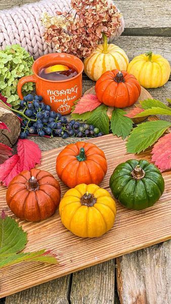 🎃 Свеча из пчелиного воска &laquo;Тыквенное сияние&raquo; 11376374 фото