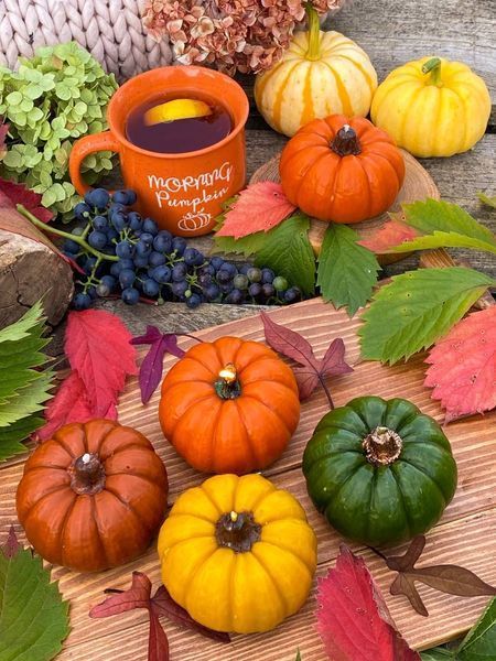🎃 Свеча из пчелиного воска &laquo;Тыквенное сияние&raquo; 11376374 фото
