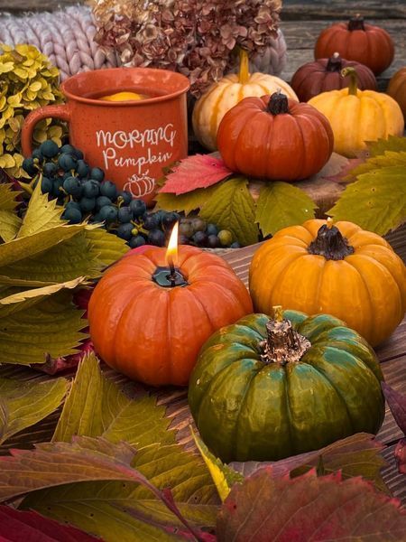 🎃 Свеча из пчелиного воска &laquo;Тыквенное сияние&raquo; 11376374 фото