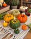 🎃 Свеча из пчелиного воска &laquo;Тыквенное сияние&raquo; 11376374 фото 3