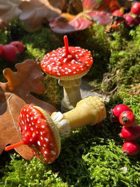 🍄 Свеча &laquo; Мухоморчик S &raquo; 1113766588 фото