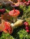 🍄 Свеча &laquo; Мухоморчик S &raquo; 1113766588 фото 11