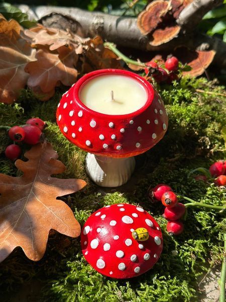 🍄 Свеча &laquo;AMANITA STUDY&raquo; 1113766590 фото