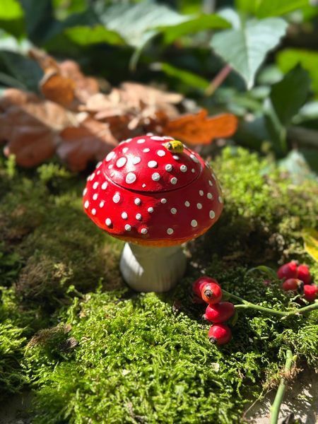 🍄 Свеча &laquo;AMANITA STUDY&raquo; 1113766590 фото