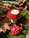 🍄 Свеча &laquo;AMANITA STUDY&raquo; 1113766590 фото 12