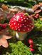 🍄 Свеча &laquo;AMANITA STUDY&raquo; 1113766590 фото 11
