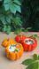 🎃 Свічка &laquo;House warming pumpkin&raquo; 111376702 фото 20