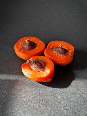 🍊 Свеча &laquo;Абрикоска&raquo; 11338550 фото