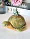 🐢 Свічка &laquo;Земна Черепаха&raquo; 1113766594 фото 2