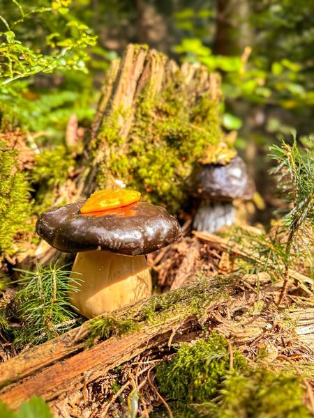 🍄 Свічка «Грибок-Світлячок» 1113766358 фото