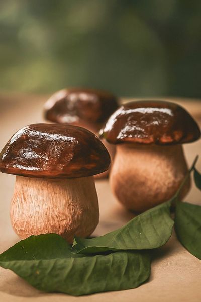 🍄 Соєва свічка &laquo;Гриб Боровик&raquo; 1113766360 фото