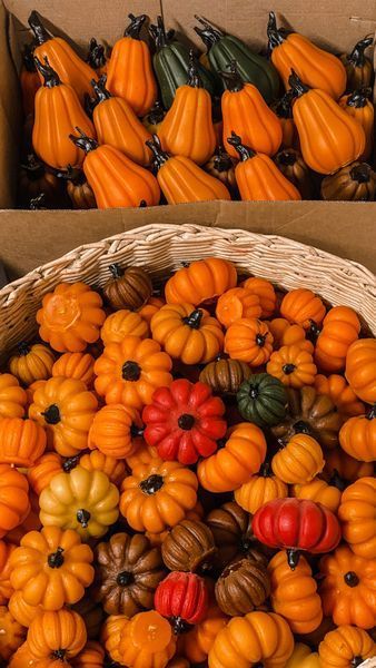 🎃 Свічка &laquo;Гарбузик&raquo; розмір S 11376333 фото