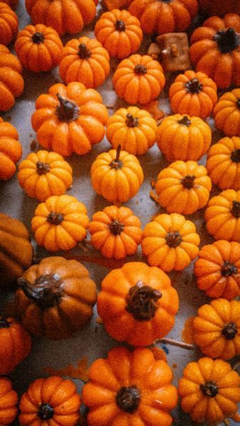 🎃 Свічка &laquo;Гарбузик&raquo; розмір S 11376333 фото