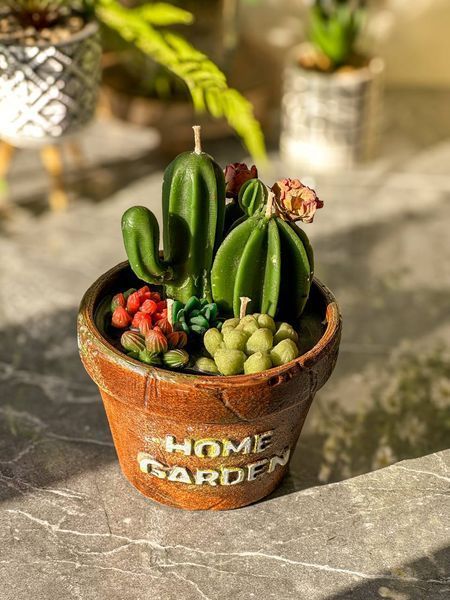🌵 Свічка &laquo;Home Garden &mdash; Greenhouse&raquo; 111377036 фото