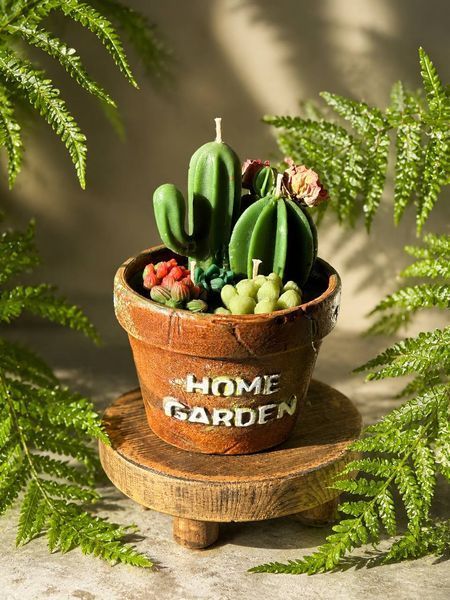 🌵 Свічка &laquo;Home Garden &mdash; Greenhouse&raquo; 111377036 фото