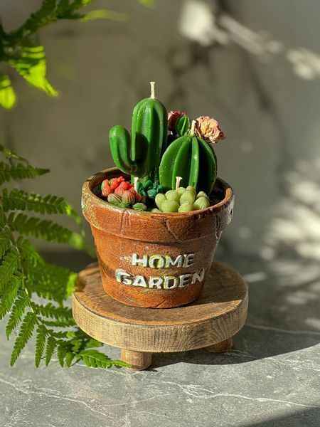 🌵 Свічка &laquo;Home Garden &mdash; Greenhouse&raquo; 111377036 фото
