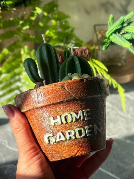🌵 Свічка &laquo;Home Garden &mdash; Greenhouse&raquo; 111377036 фото