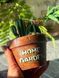 🌵 Свічка &laquo;Home Garden &mdash; Greenhouse&raquo; 111377036 фото 5