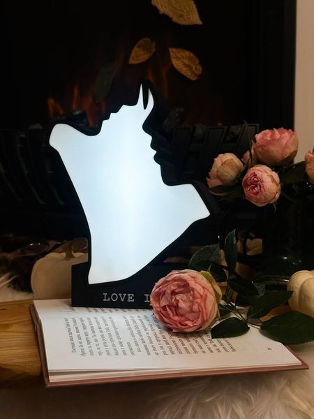 💡 Нічник &laquo;Love Is&raquo; 102_3dl фото