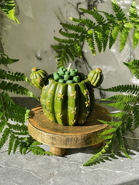 🌵 Свеча &laquo;Cactus Glow&raquo; 111377038 фото