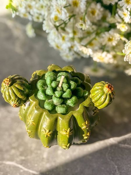🌵 Свеча &laquo;Cactus Glow&raquo; 111377038 фото