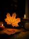 💡 Нічник &laquo;Autumn Leaf&raquo; 104_3dl фото 2