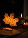 💡 Нічник &laquo;Autumn Leaf&raquo; 104_3dl фото 4