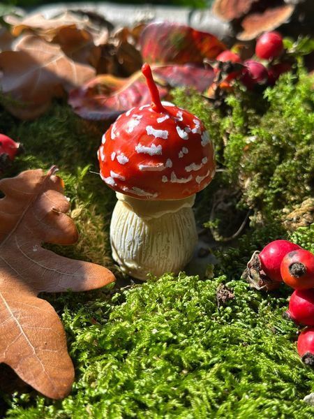 🍄 Свічка &laquo;Мухомор весняний S&raquo; 111376988 фото