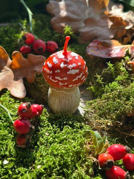 🍄 Свічка &laquo;Мухомор весняний S&raquo; 111376988 фото