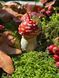 🍄 Свічка &laquo;Мухомор весняний S&raquo; 111376988 фото 6