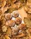 🌀 Свічка &ldquo;CinnaBun&rdquo; 111376728 фото 19