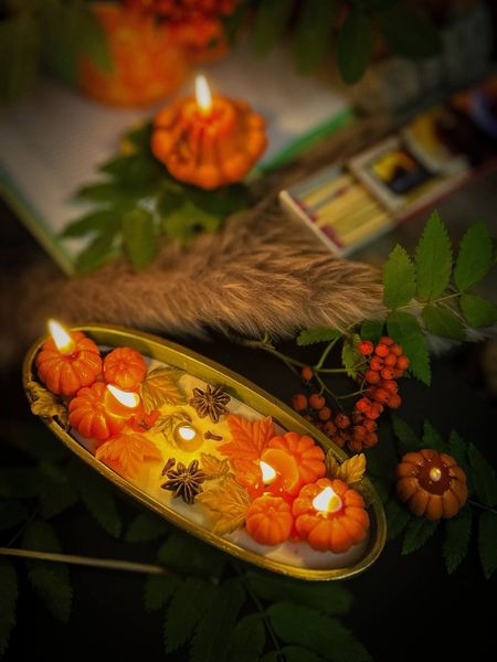 🕯️ Свеча "Harvest Pumpkin Candle" 1113766372 фото