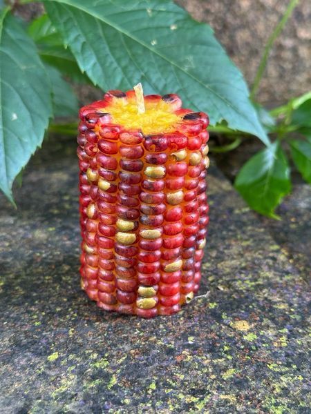 🌽 Свічка &laquo;Кольорова кукурудза&raquo; 111377056 фото