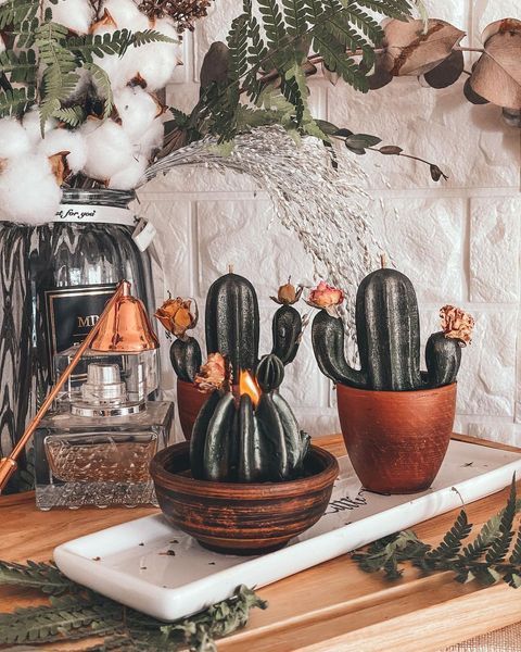 🌵 Набір свічок &laquo;Кактус&raquo; 8946467 фото